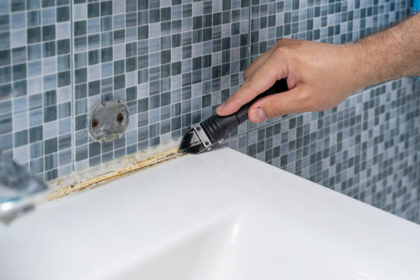 Best Attic Mold Removal  in Homestead Meadows South, TX