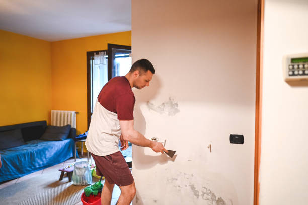 Best Mold Damage Repair  in Homestead Meadows South, TX